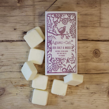 Agnes + Cat Box of 8 Wax Melts - Seasalt + Moss